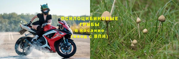 крисы Покровск
