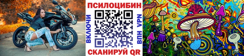 Галлюциногенные грибы Magic Shrooms  Купить где  Новоульяновск 